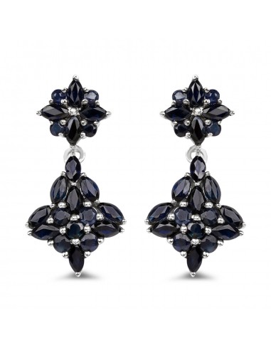 3.33 Carat Genuine Blue Sapphire .925 Sterling Silver Earrings Véritable concentré